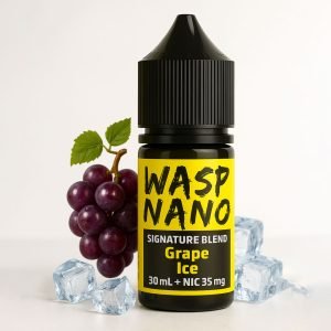 Wasp Nano Grape Ice